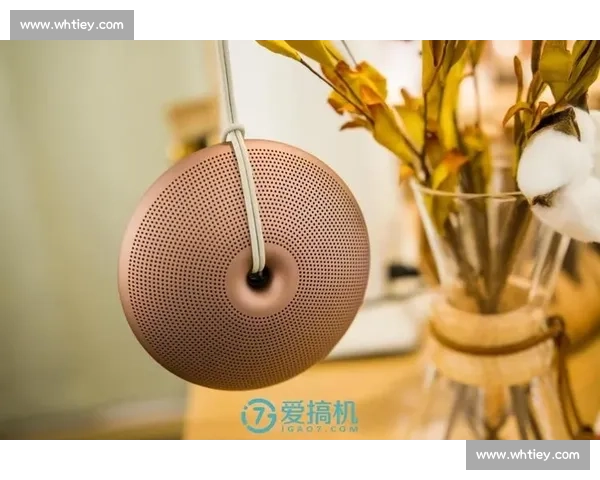以胜利VS880为核心的多维解析与音质体验升级全景解读 以胜利VS880为核心的多维解析与音质体验升级全景解读
